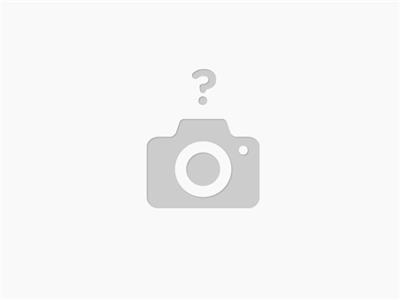 MICROSWITCH 16A/250V SIN PALANCA T:6.3